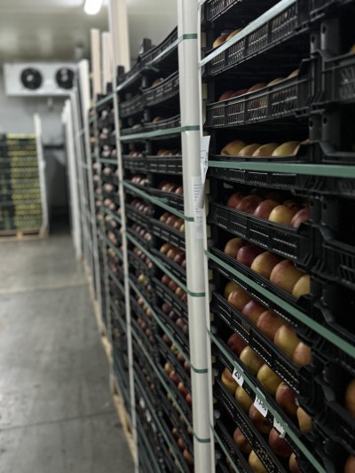 Temperature Controlled Storage