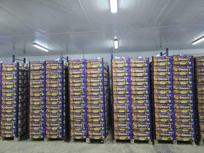 Muz Olgunlaştırma Projesi