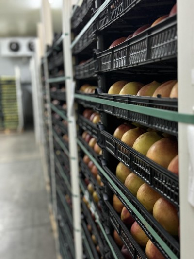 Temperature Controlled Storage