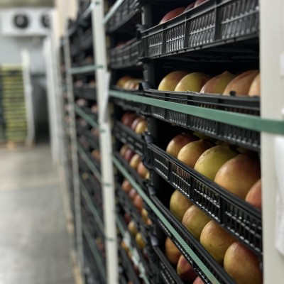 Temperature Controlled Storage