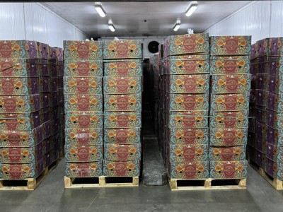 Banana Ripening Project