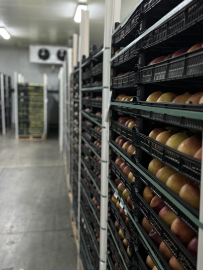 Temperature Controlled Storage