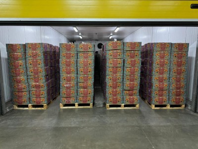 Banana Ripening Project