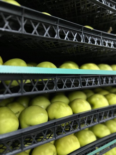 Temperature Controlled Storage