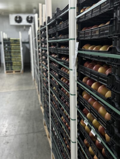 Temperature Controlled Storage