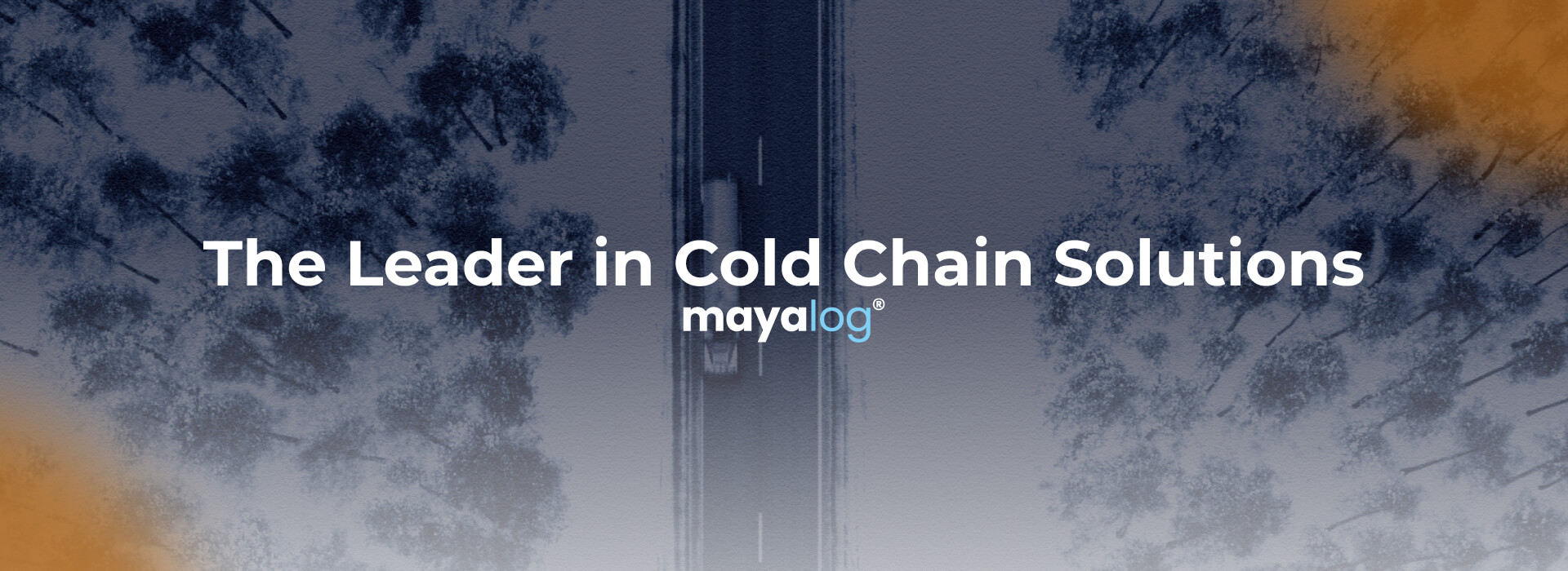 Soğuk Zincirde Lider Çözüm