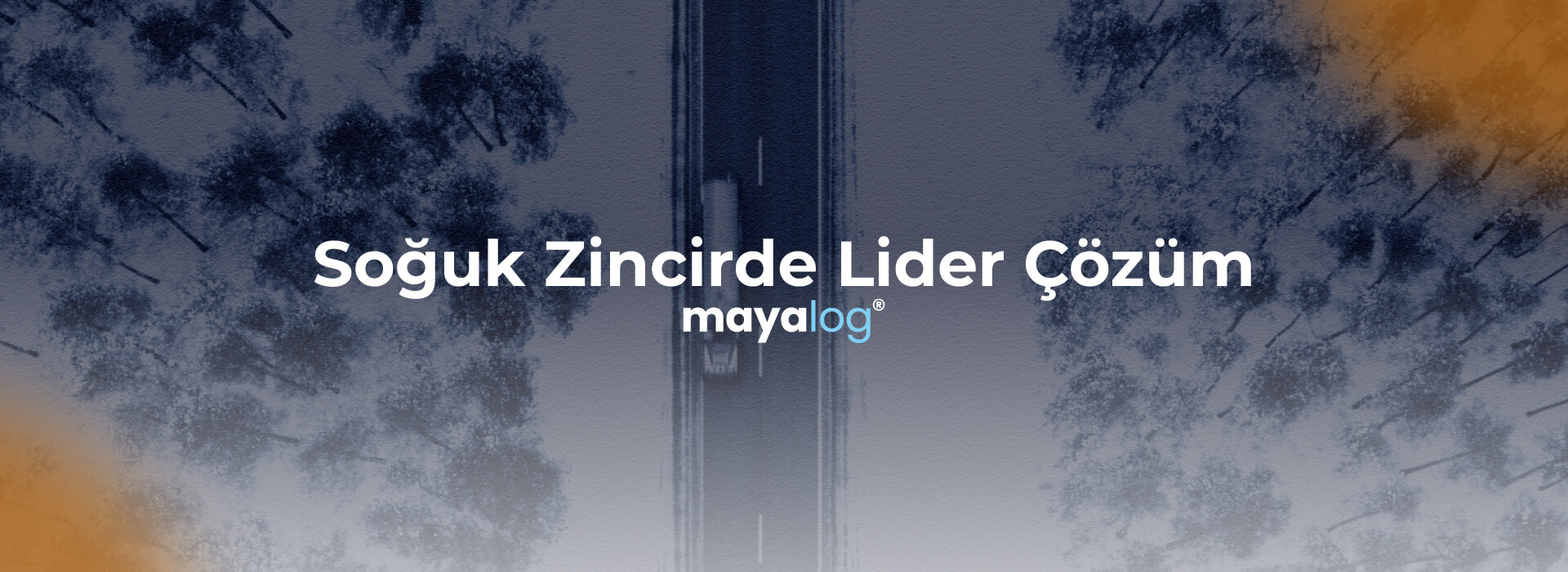 Soğuk Zincirde Lider Çözüm